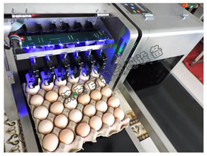 山東噴碼機(jī)公司簡(jiǎn)介